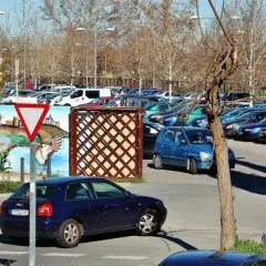 Gdzie zaparkować przy pałacu w Wilanowie? Sprawdź opcje parkingowe