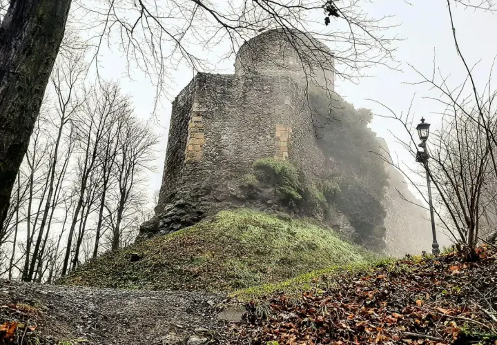 Zamek w Głogówku: Historia, architektura i aktualny stan zabytku
