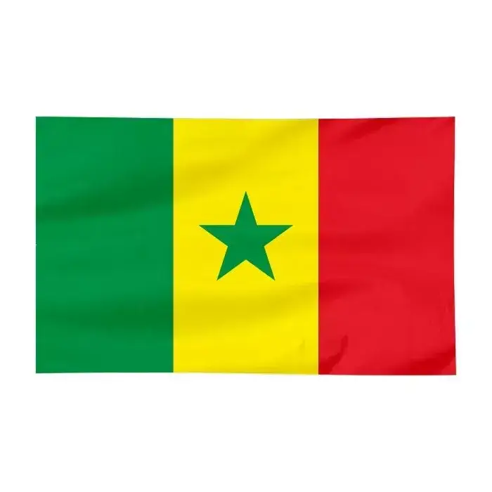 Zdjęcie Jak wygląda flaga Senegalu? Odkryj jej piękno i znaczenie kolorów